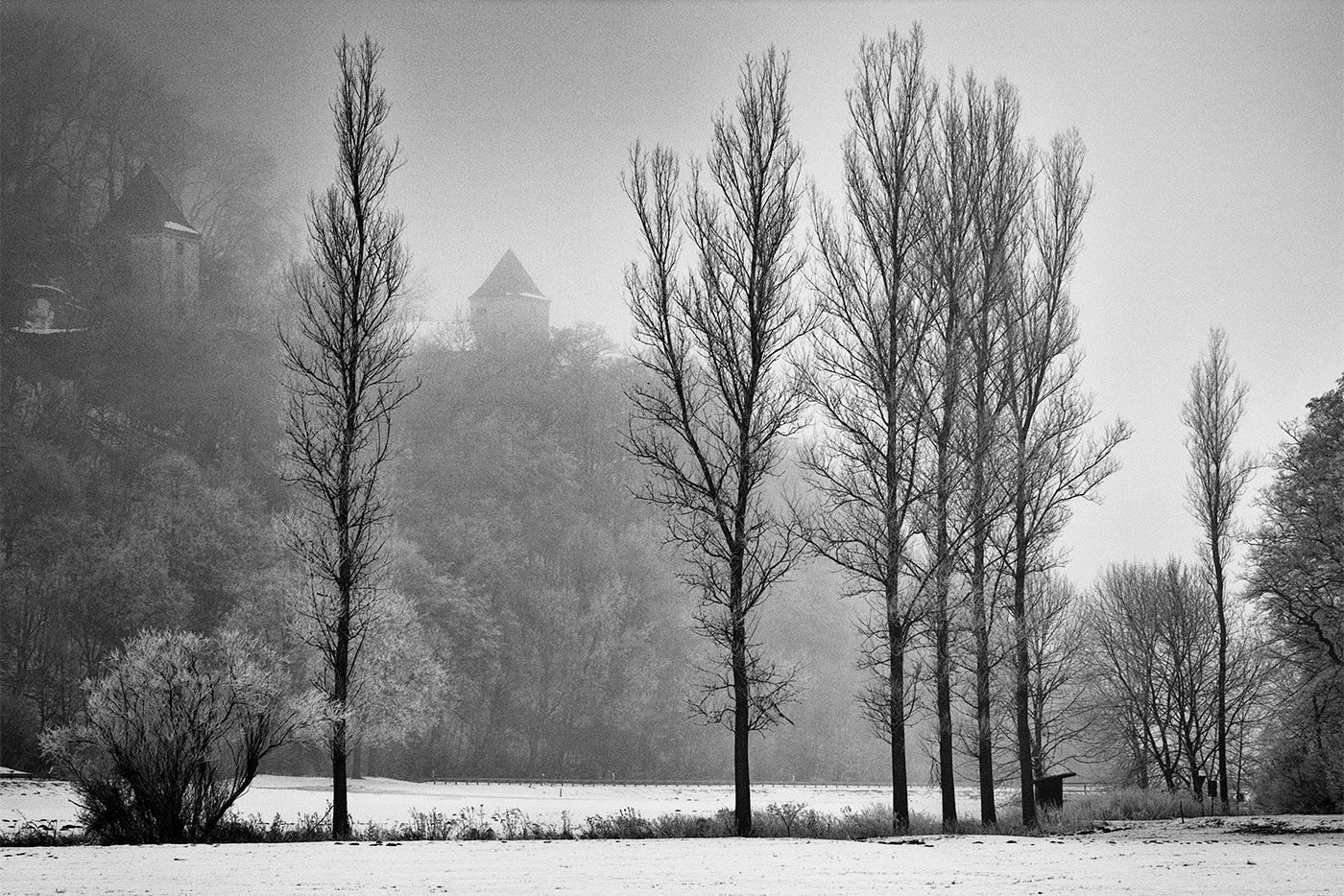 Februar - Ruine Kaltenburg / Lonetal zwischen Burgberg und Hürben