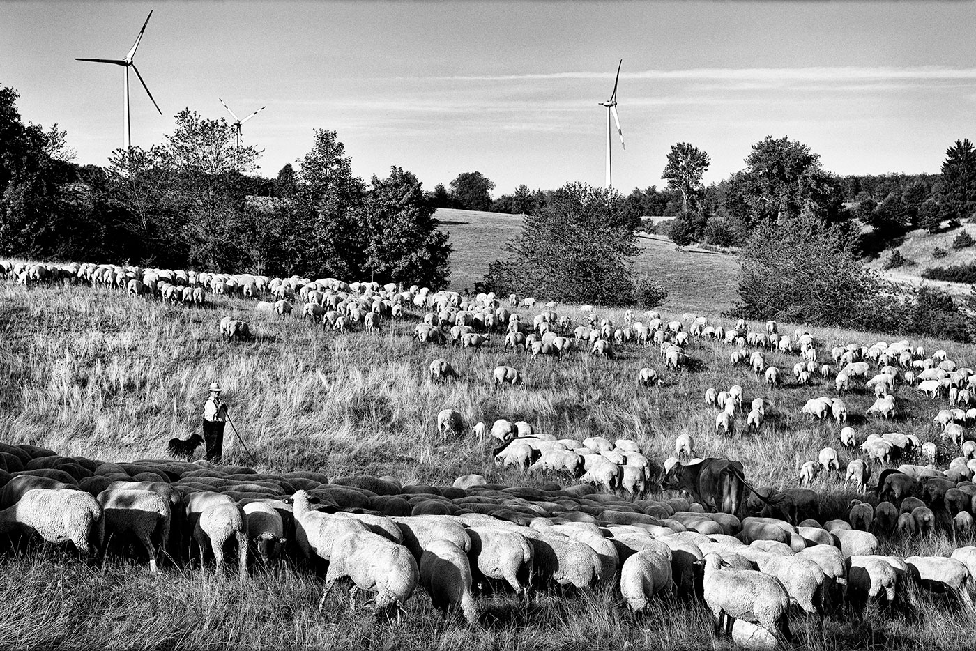 September - Windpark Gnannenweiler